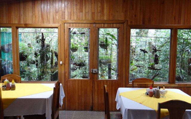Hotel Forest Dreams Manakin