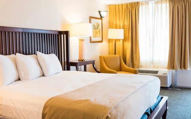 Vista Inn & Suites Tampa