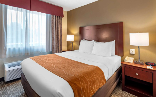 Comfort Inn Kelso - Longview