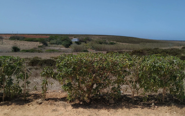 Vivenda Familia Pedro