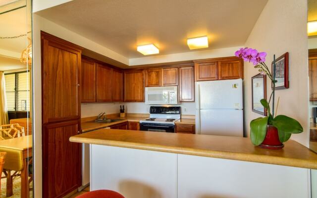 Napili Point C-12 - 2Br Condo