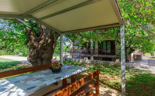 Apartment Vesela Umag/Volparija 25410