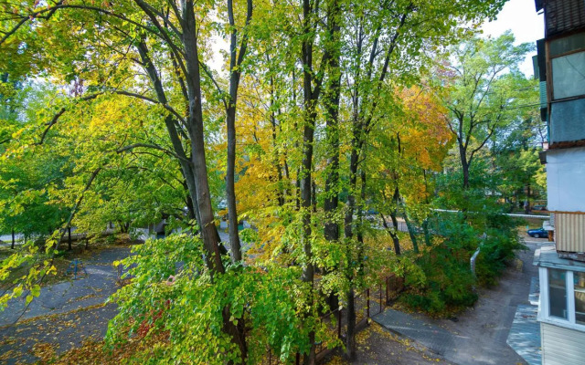 Apartments in the park area of the Dnipro