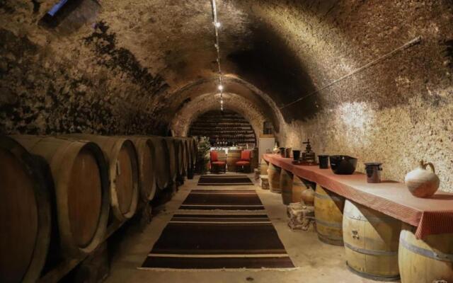 Chateau Dagel Exclusive rental 11 people