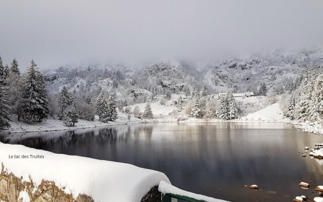 Apartment With 2 Bedrooms in Soultzeren, With Wonderful Mountain View,