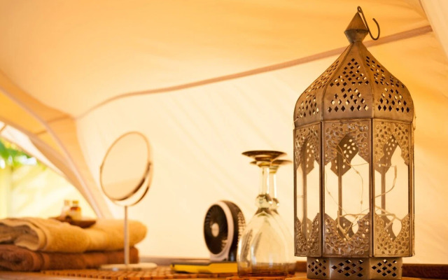 Wild Lotus Camp