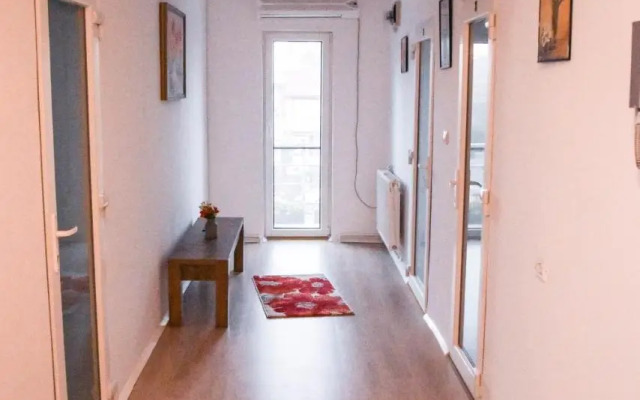 Spacious and cozy 3BD+Terrace Couples Apartment