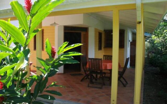 Les Cycas