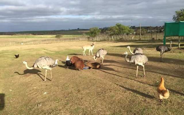 Finca Piedra