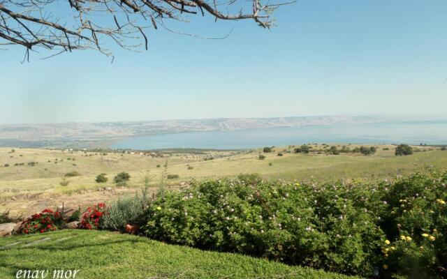 Sea Of Galilee Site