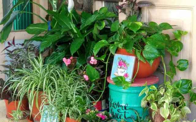 Hotel Hello Guest House Bukittinggi