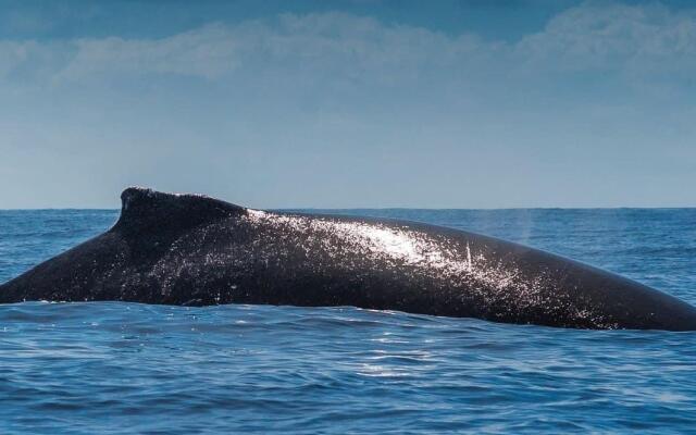 Pousada Velas e Vento - Acesso fácil a Barra Grande