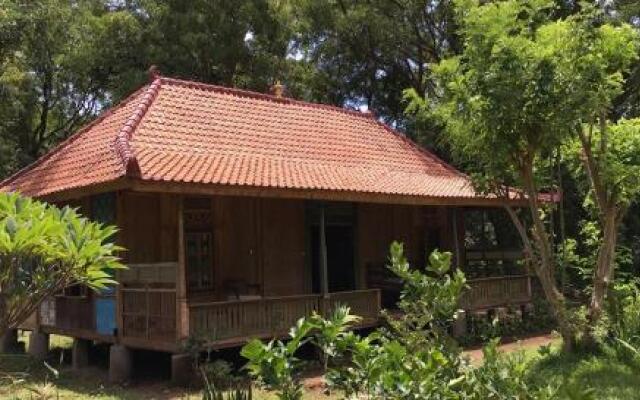 Dune Alaya Yoga Hotel