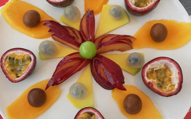 Le Palmier de la Paix