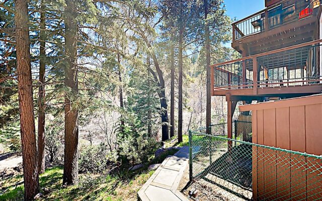 New Listing! "evergreen Escape" - Decks & Game Room 5 Bedroom Home