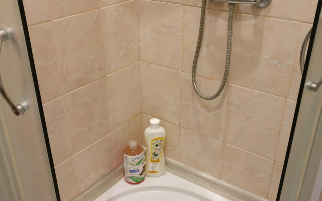 Apartment in L'viv City Center