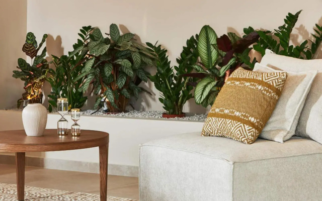 Vasia Sea Retreat
