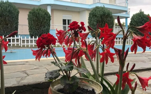 Villa Kolona