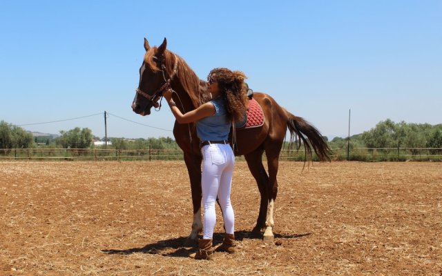 The Ranch - Lodge & Equestrian Center