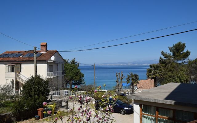 Apartments Petrica