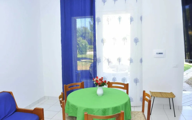 New Apartment in Baia Domzia Near the sea