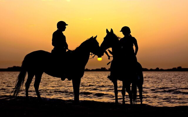 Anantara Sir Bani Yas Island Resorts