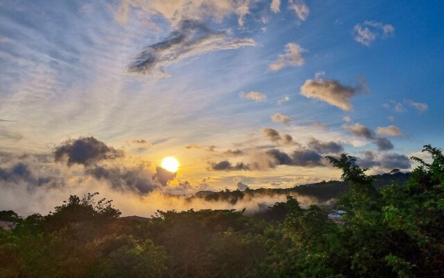 Hotel Ficus Sunset Suites