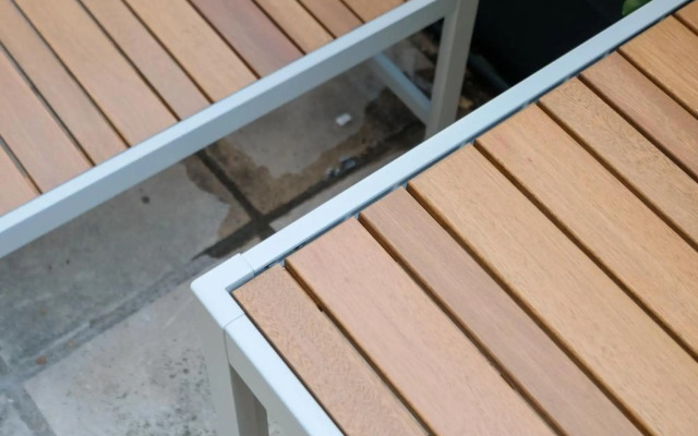 Blackhaus Young Mini