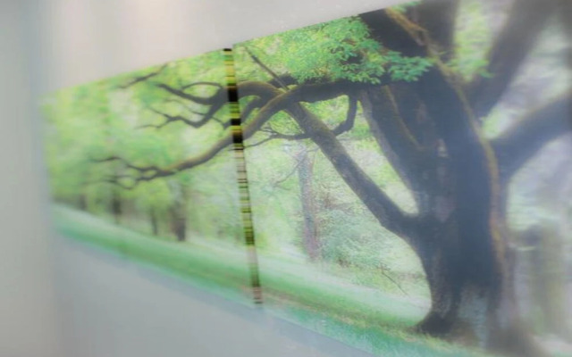 4 Bedroom House at Skytrain