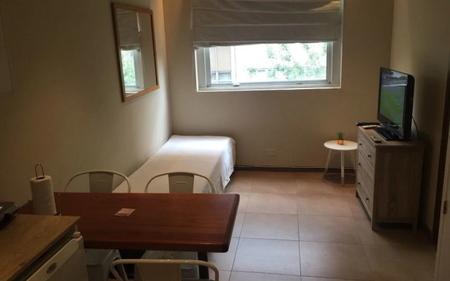 Cozy apt in the heart of Mendoza
