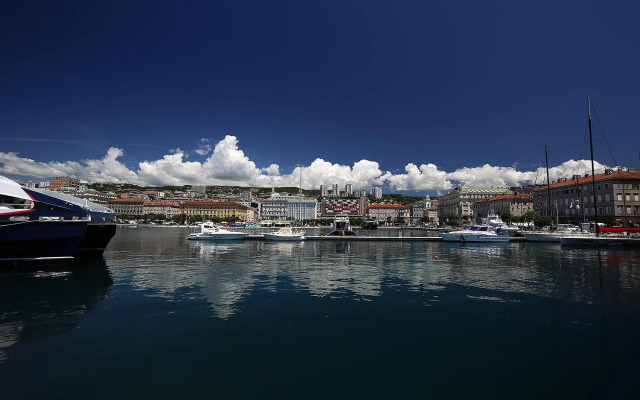 Centrally located studio apartment Seagull