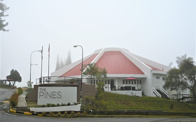 The Pines