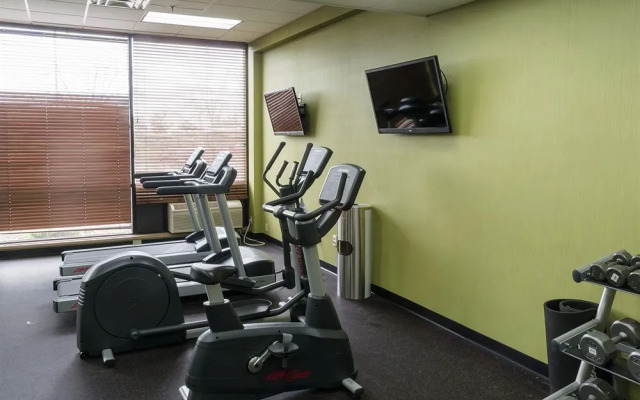 Holiday Inn Big Rapids