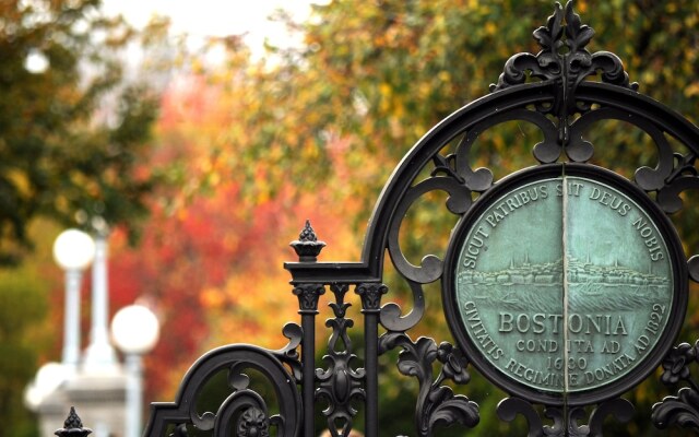 Relaxing One Bedroom Apartment in Back Bay, Boston