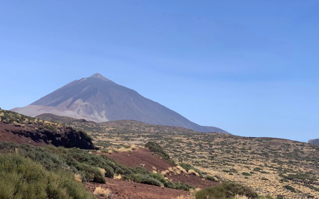 Sunny Tenerife, Los Cristianos, Studio