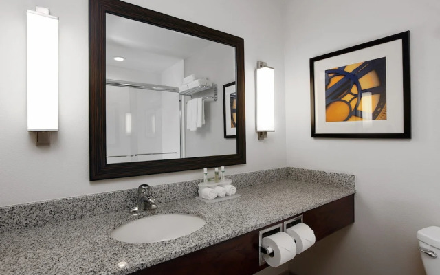 Holiday Inn Express Ralston - Arena Area