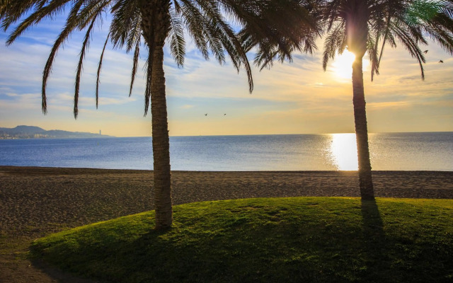 Estudio en Málaga (Zona Este)