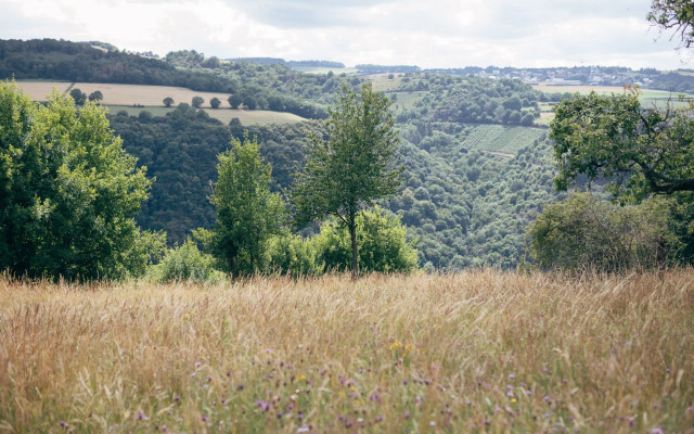 FETZ - Das Loreley Hotel