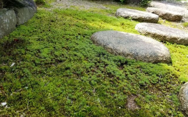 Yuhigaura Onsen Konoya