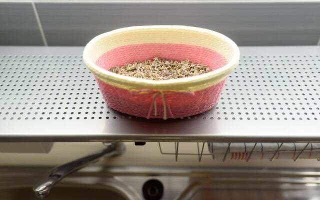 Studio Apartment With Balcony Near Beach Apartmani Orhideja