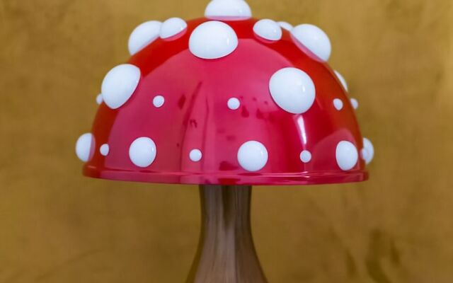 Wyspa Solna by Renters Prestige