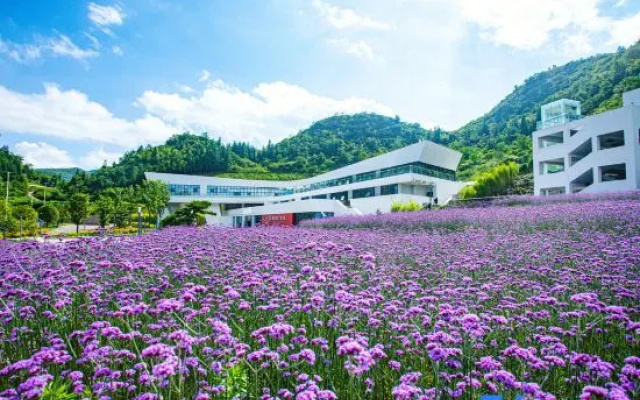 Youyang Starry Sky·Yuejianli – Outside – Chongqing