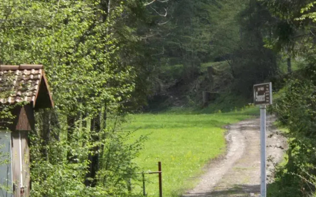 Ferienhaus Wildbachblick