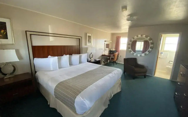 Oasis Botique Motel - фото 4