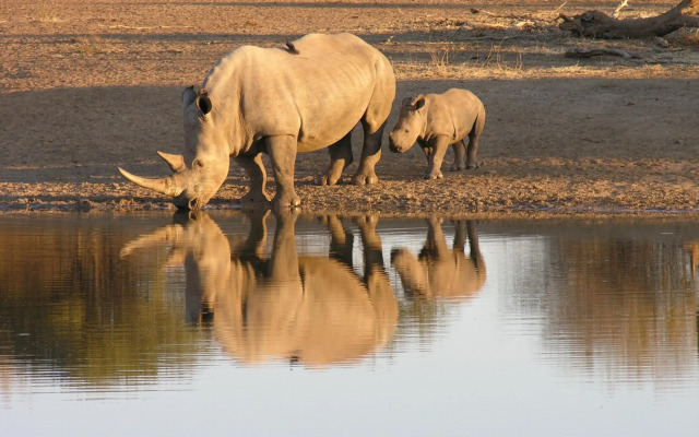 Etali Safari Lodge