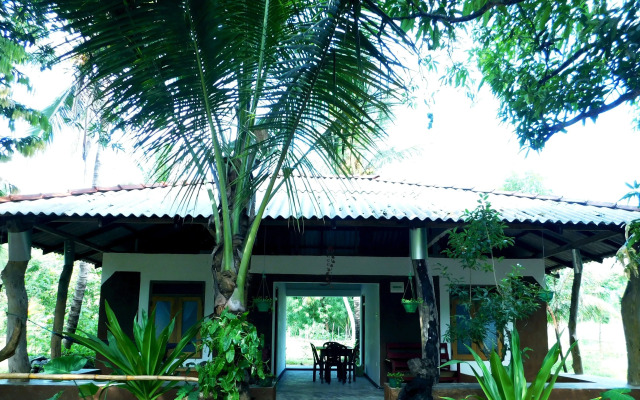 Yala Avian Eye Safari