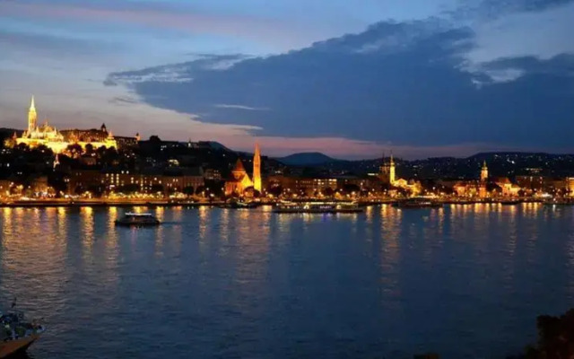 Castle and Danube Panorama