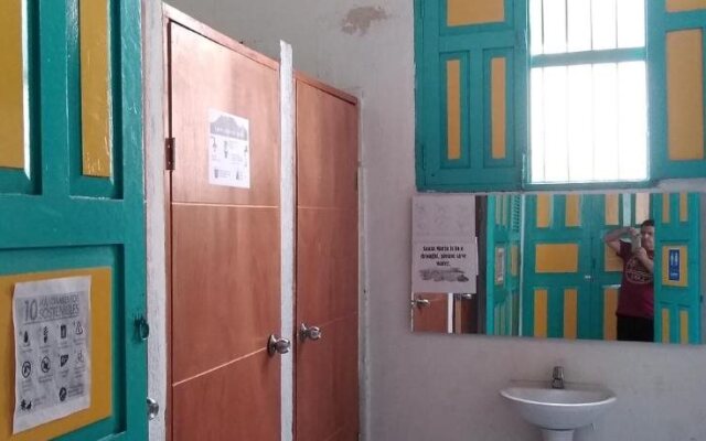 Hostel Arbore