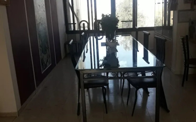 Oasis Negev