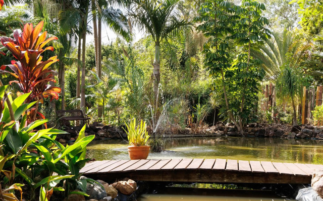 Eclectic Oasis in Doonan, Sunshine Coast